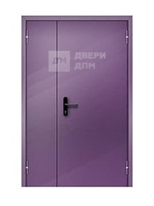 Противопожарная дверь глухая ДПМ-02 EI-30 полуторная утепленная